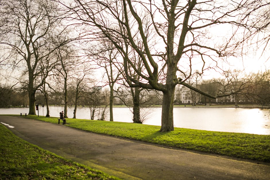 A pathway in Broomfield Park with a backdrop of leafless trees and a large lake, taken during daylight hours with soft natural lighting. The paved walkway curves slightly along the green grass verge, with a wooden bench positioned on the grass and a person sitting on it in the distance. The park's trees have bare branches, indicating a winter or early spring setting. In the background, residential buildings are partially visible across the lake. This scene depicts a tranquil outdoor environment associated with local leisure spaces near Palmers Green. Although the image does not show any objects related to removals or moving services, the setting aligns with a location close to properties that may require professional home relocation or furniture transport, as handled by companies such as Man with Van Palmers Green.