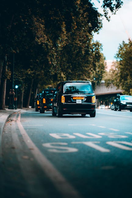A row of black vans with orange rear lights are parked along the side of a street, ready for a home relocation or furniture transport. The vehicles are positioned close to the pavement, with the closest van in the foreground displaying a visible UK-style license plate. Behind the vans, mature trees with dense green foliage line the street, providing shade and a natural backdrop. The street appears to be relatively quiet, with only a few other vehicles visible further along the road. The scene is captured during daylight, with soft lighting and a clear sky. This setting reflects a typical urban environment associated with moving services, such as those offered by Man with Van Palmers Green, supporting efficient packing and loading processes, where furniture, boxes, and packing materials are transferred onto the vans for transportation to a new residence.